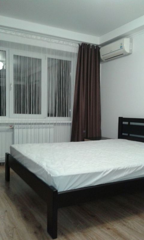 Rent out 1-room apartment. Киев, Бойчука Михаила  (Киквидзе) — photo 3