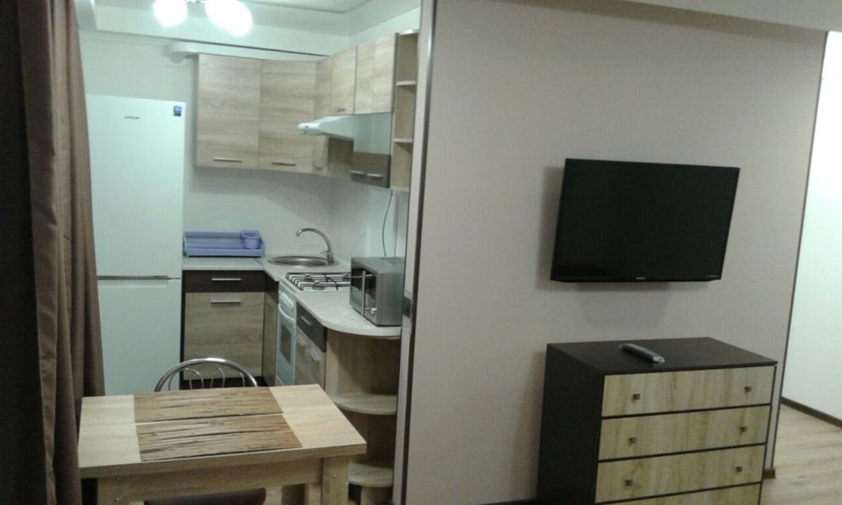 Rent out 1-room apartment. Киев, Бойчука Михаила  (Киквидзе) — photo 2