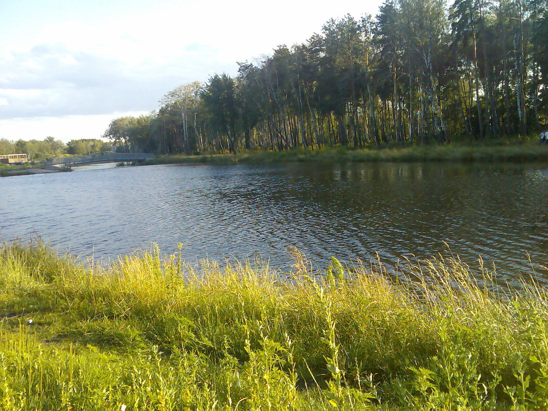 Rent out 3-room apartment. Киев, Миропольская , 39 — photo 8